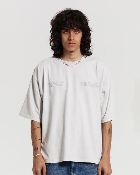 Cold Culture Resilience T Shirt Light Grey | 72980-IJDN
