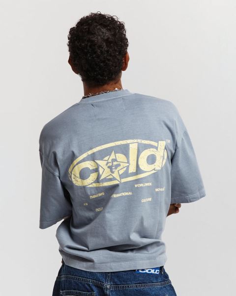 Cold Culture Sky Views T Shirt Blue Grey | 41650-FMGU