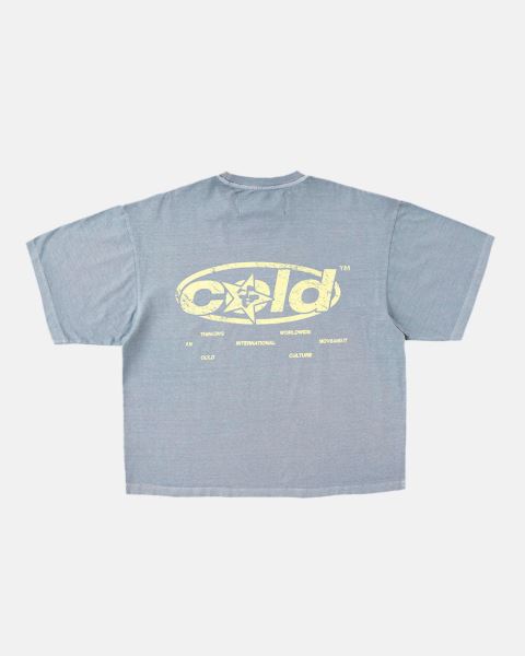 Cold Culture Sky Views T Shirt Blue Grey | 41650-FMGU