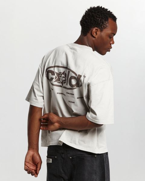 Cold Culture Sky Views T Shirt Blue Light Grey | 84726-EIRA