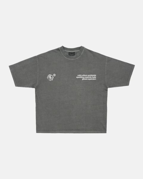Cold Culture Spinning T Shirt Grey | 06317-UKOI