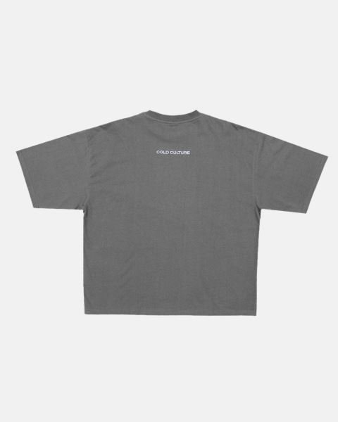 Cold Culture Stars T Shirt Grey | 02953-FSLR