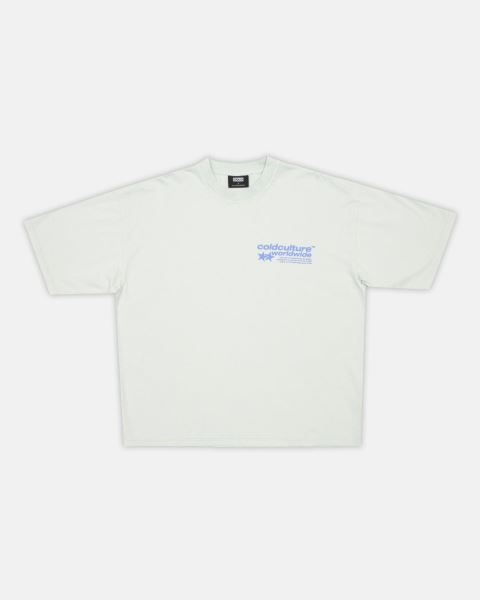 Cold Culture Status T Shirt Grey | 26035-RLWT