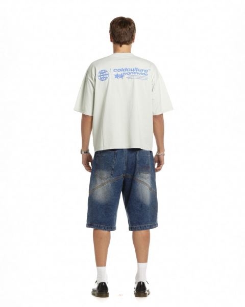 Cold Culture Status T Shirt Grey | 26035-RLWT