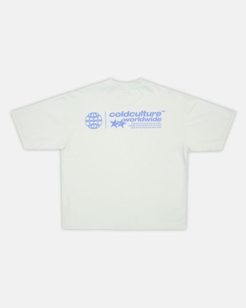 Cold Culture Status T Shirt Grey | 26035-RLWT
