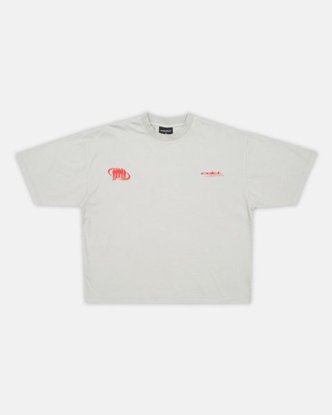 Cold Culture Team T Shirt Grey | 46258-HWOB