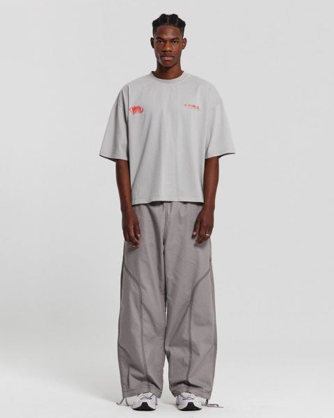 Cold Culture Team T Shirt Grey | 46258-HWOB