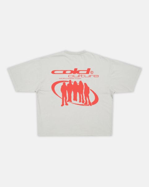 Cold Culture Team T Shirt Grey | 46258-HWOB