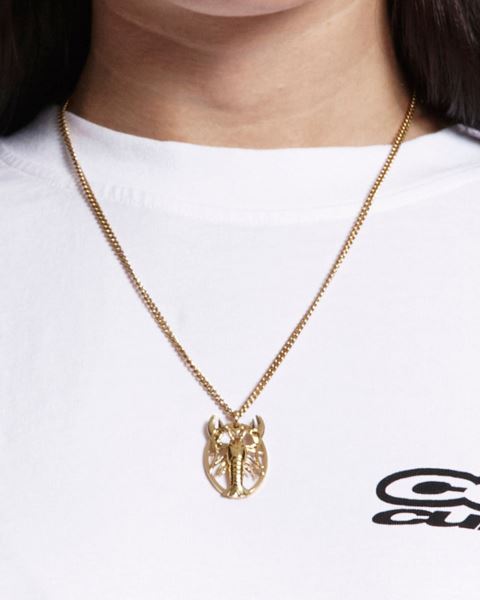 Cold Culture The Golden Lobster Necklace Jewelry Gold Orange | 28140-GDAB