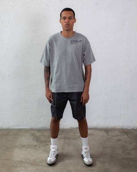 Cold Culture Trails T Shirt Grey | 82793-UWSP