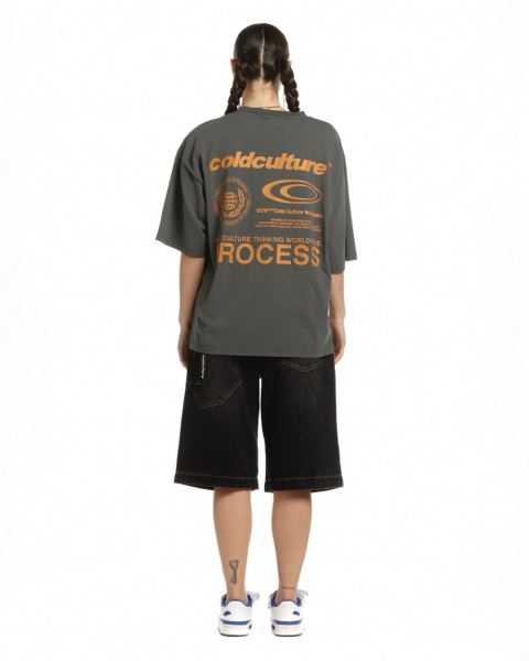 Cold Culture Visualize T Shirt Grey | 85214-KUWS
