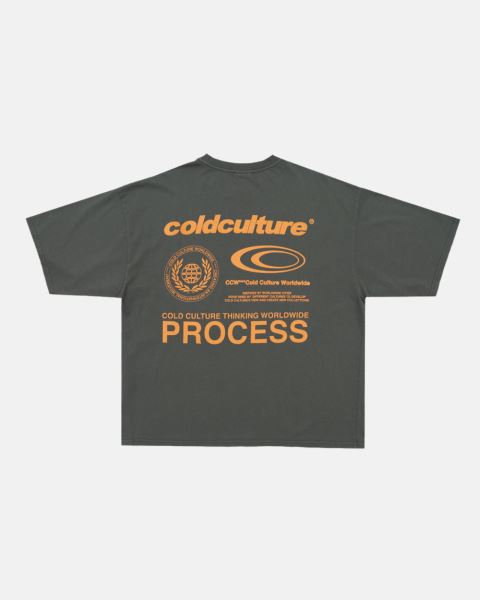 Cold Culture Visualize T Shirt Grey | 85214-KUWS