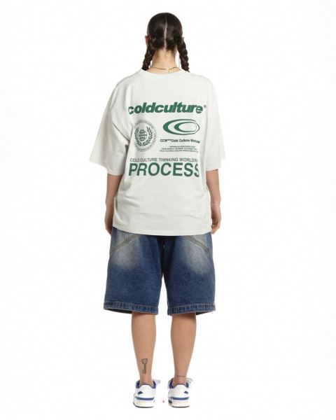 Cold Culture Visualize T Shirt Light Grey | 45108-URCV