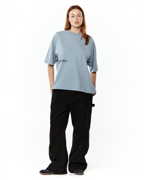 Cold Culture Worldview T Shirt Blue | 74639-YNBL
