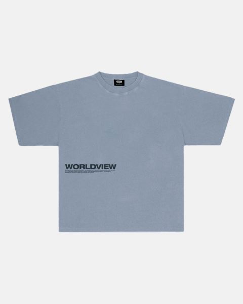 Cold Culture Worldview T Shirt Blue | 74639-YNBL