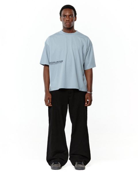 Cold Culture Worldview T Shirt Blue | 74639-YNBL