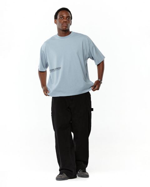 Cold Culture Worldview T Shirt Blue | 74639-YNBL