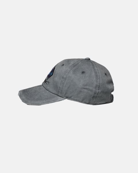 Cold Culture Worldwide 21 Caps Grey | 73105-FOYZ