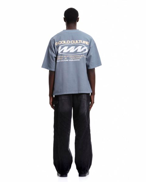 Cold Culture Worldwide Circle T Shirt Grey | 87395-OFRE